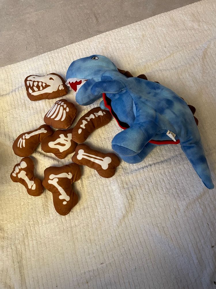 A dinosaur dog toy with smaller bone shaped pieces. 