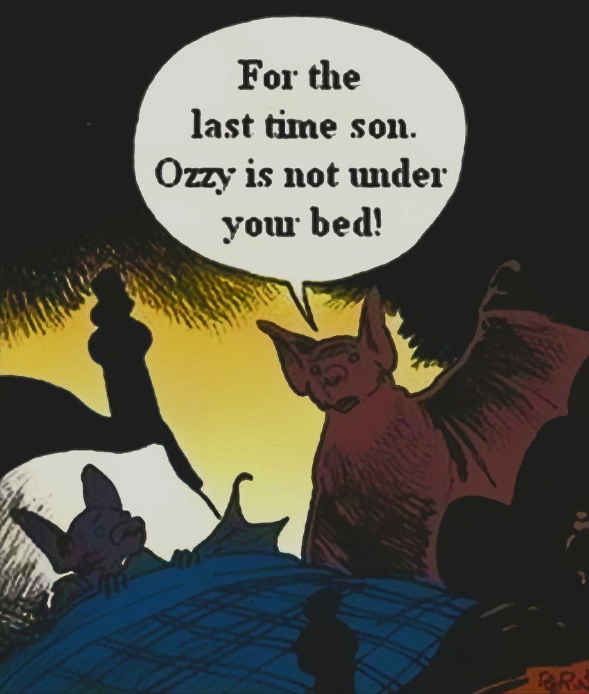 Disegno di un pipistrellino a letto impaurito e un pipistrello grande accanto al letto che gli dice "For the last time son. Ozzy is not under your bed!".