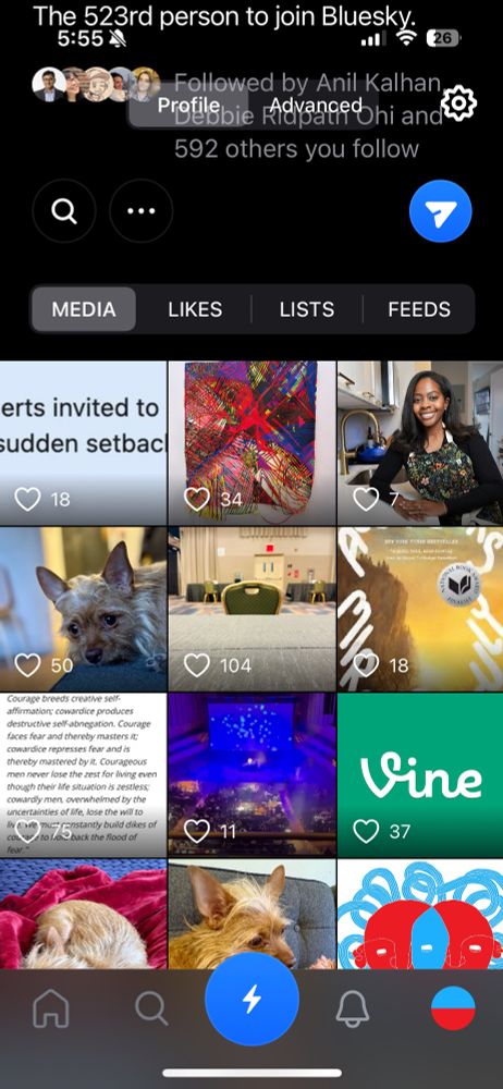 A screenshot of a profile page on Flashes. It looks just like Insta.