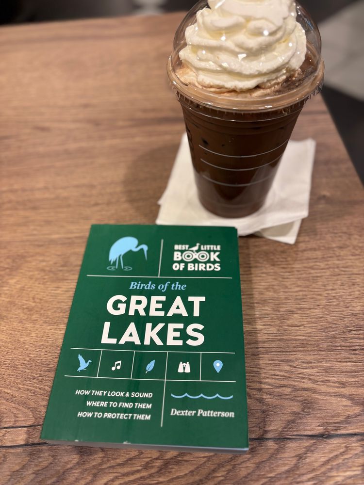Photo of a book and iced mocha on a wood table. The book has a green cover with birds and birding icon art on it. The title of the book is Birds of the Great Lakes. Author is Dexter Patterson. 
