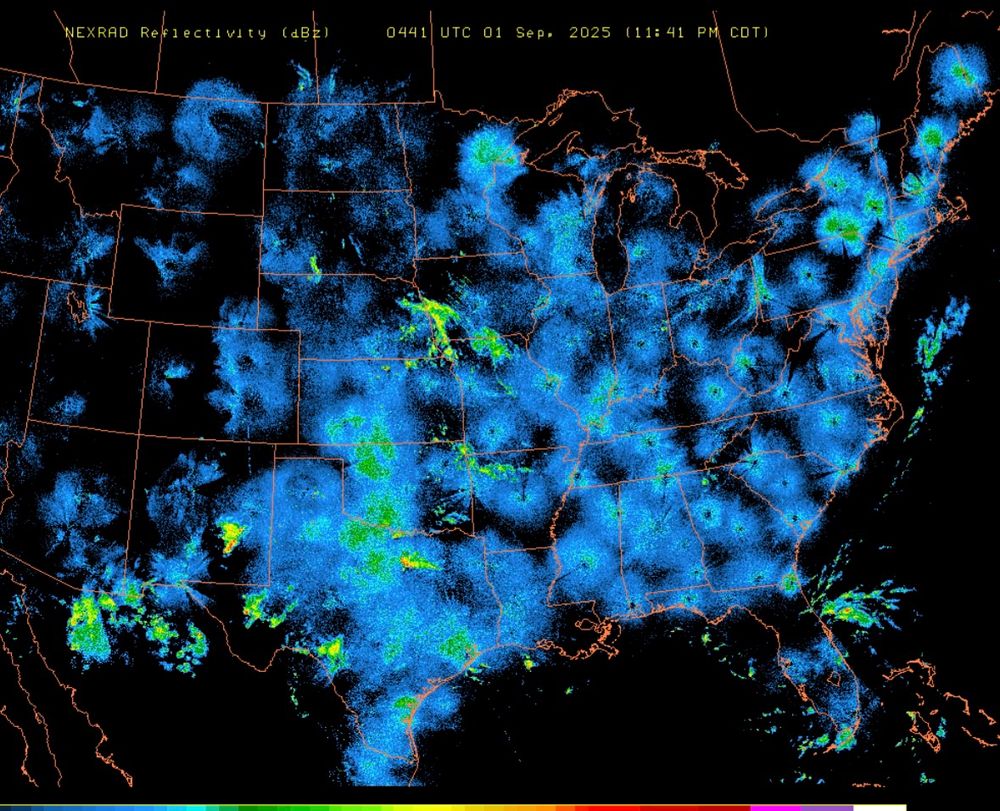 NEXRAD radar map showing birds and weather. 