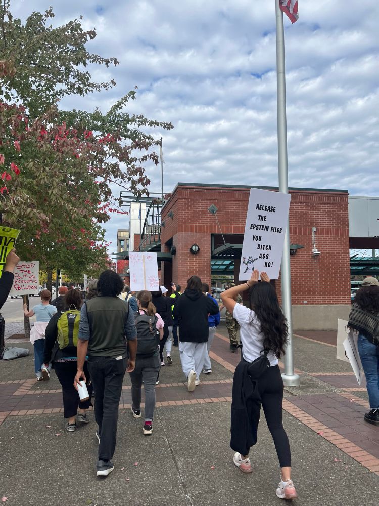 People walking down a street carrying signs. The nearest sign reads “release the epstein files you bitch ass ho”. 