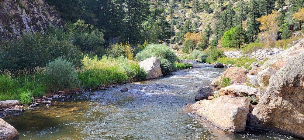 a river surrounded by multiple shades of green plants to the left broken up by a single white rock and tall brown and red rocks to the right. some trees are starting to turn yellow.