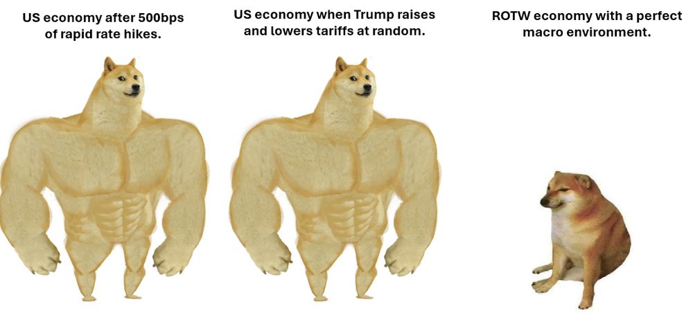 Big dog, small dog meme
Big dog = US economy after 500bps of rapid rate hikes.
Big dog = US economy when Trump raises and lowers tariffs at random.
Small dog = ROTW economy with a perfect macro environment. 