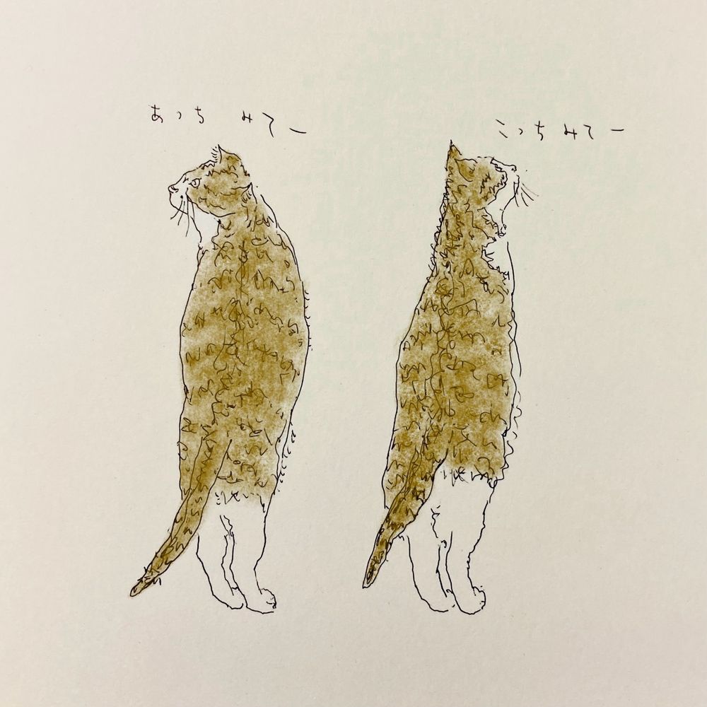 あっち見てこっち見て
ねこラクガキ