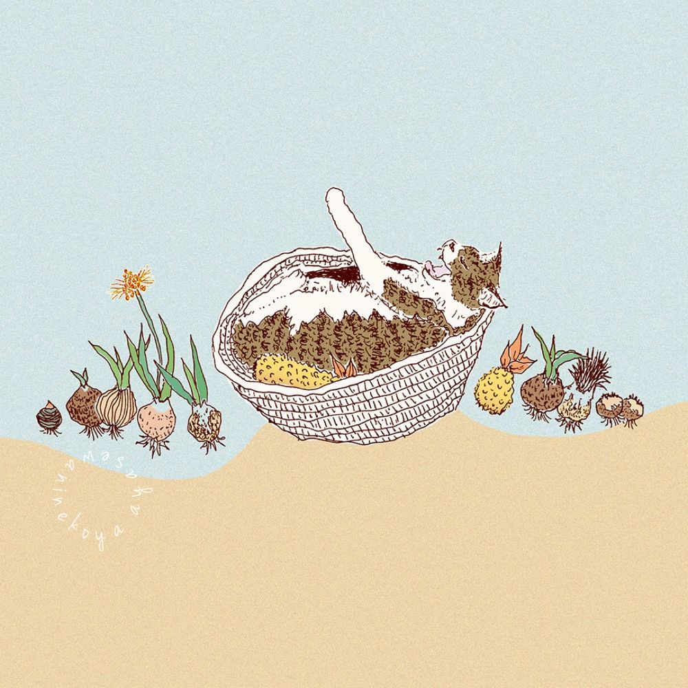 ボールペン画
かごの中であくびする猫