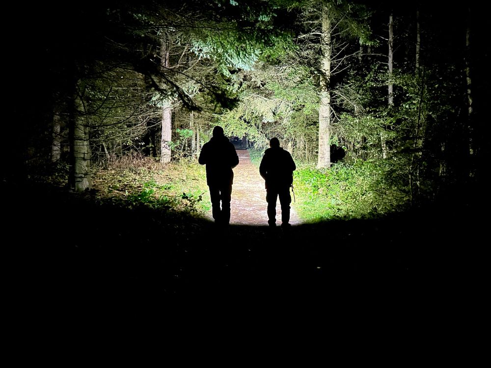Zwei Personen gehen im Taschenlampenlicht durch einen Wald