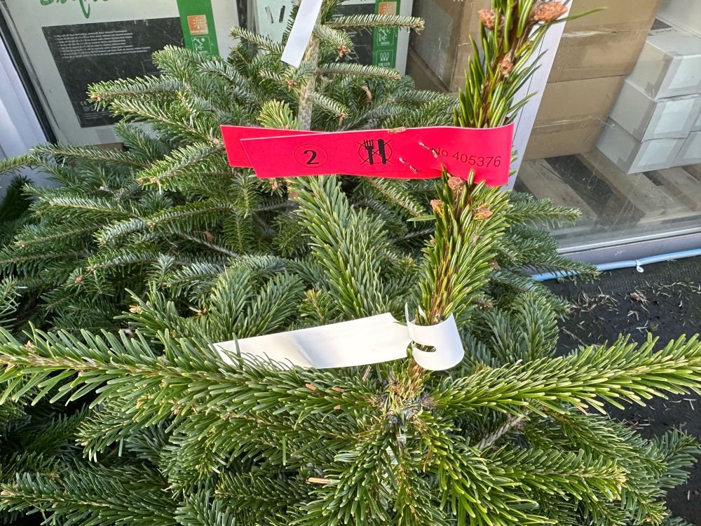 Ein Weihnachtsbaum mit dem Hinweis „nicht zum Verzehr geeignet“