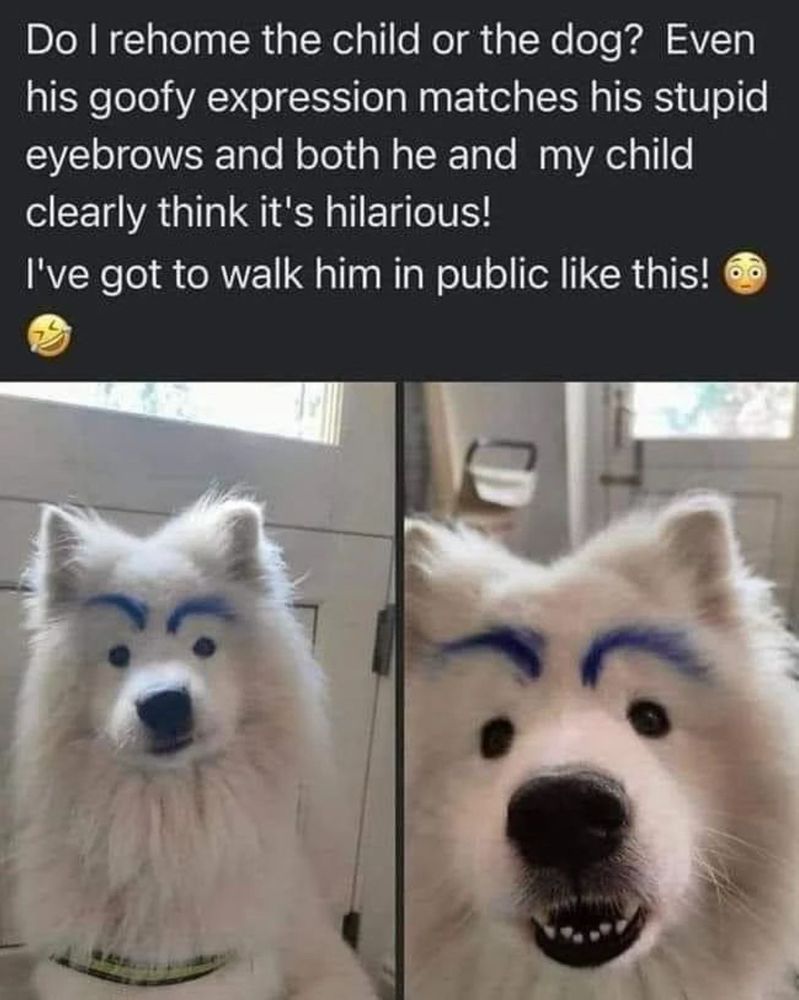 Comment image
