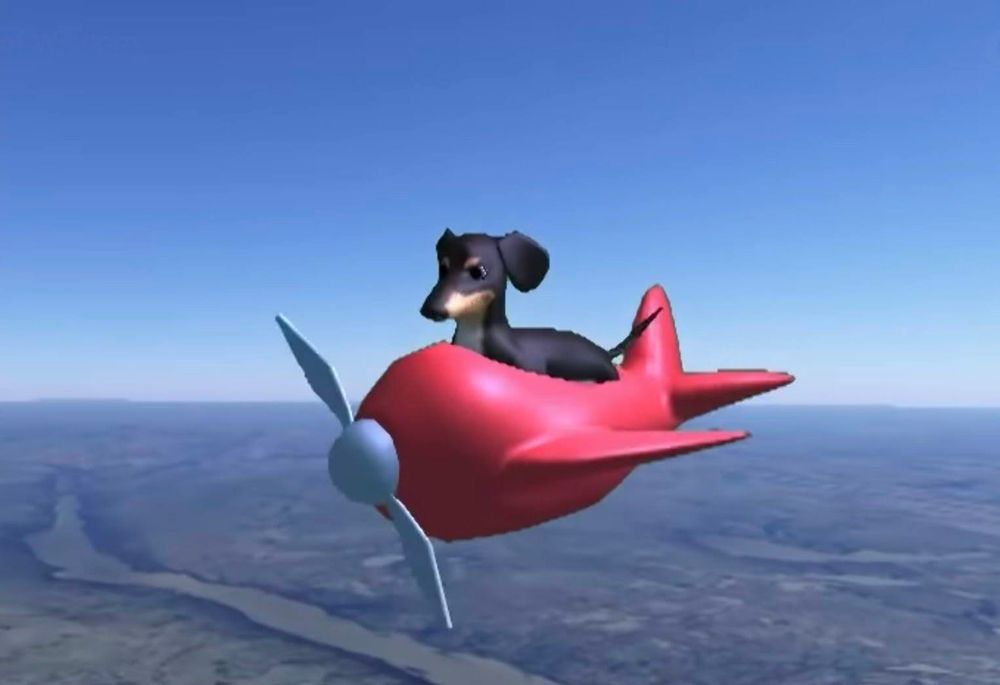 dachshund on a red airplane  