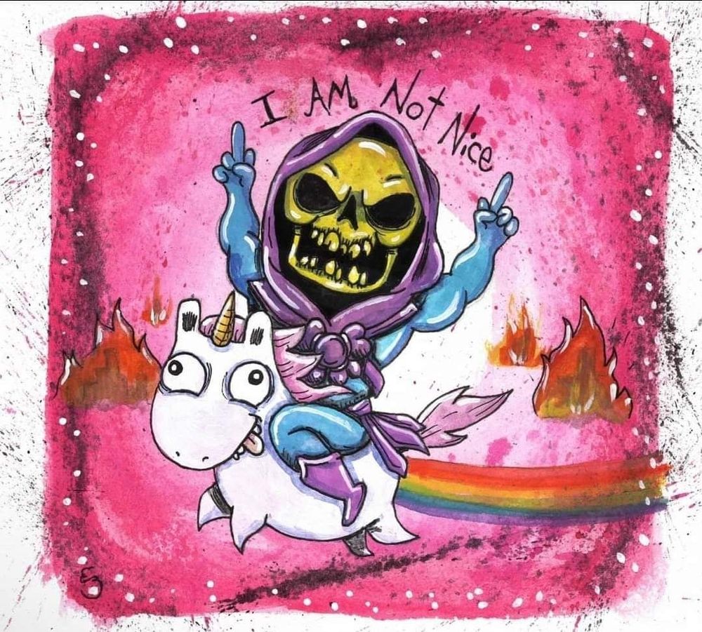 Einhorn, Regenbogen, Skelett und der Spruch im not nice