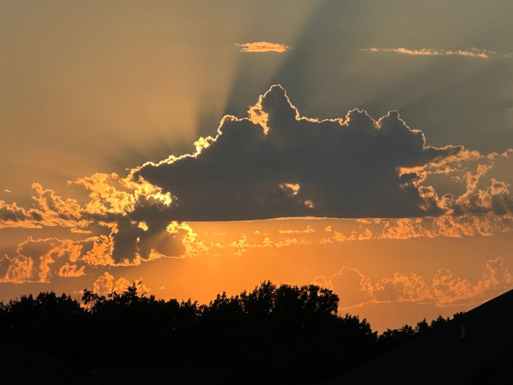 Large cloud blocking the setting sun above the shadows of a tree line 