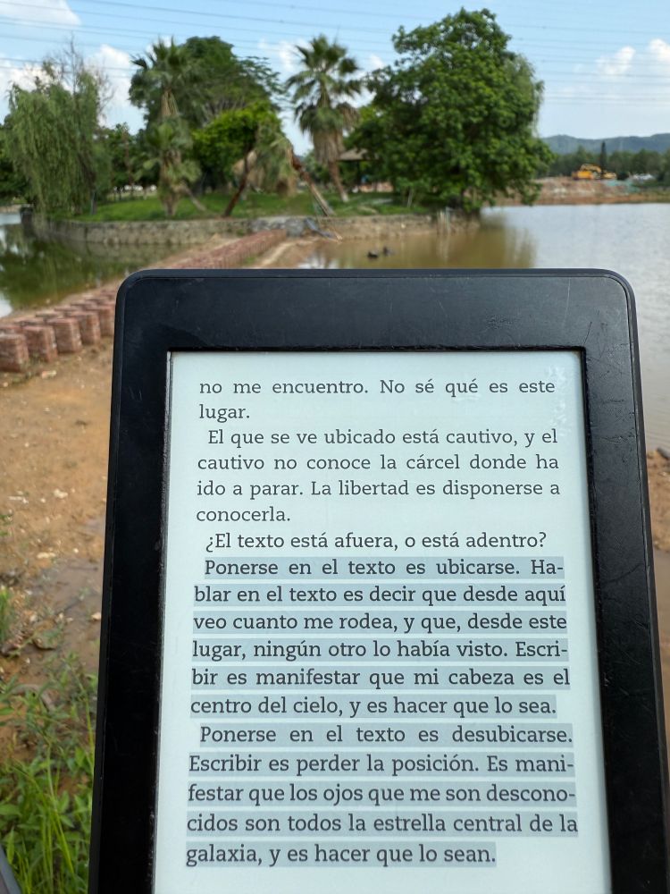Fragmento de “El sosiego” (Ensayo incluido en “Somos luces abismales”, de Carolina Sanin)