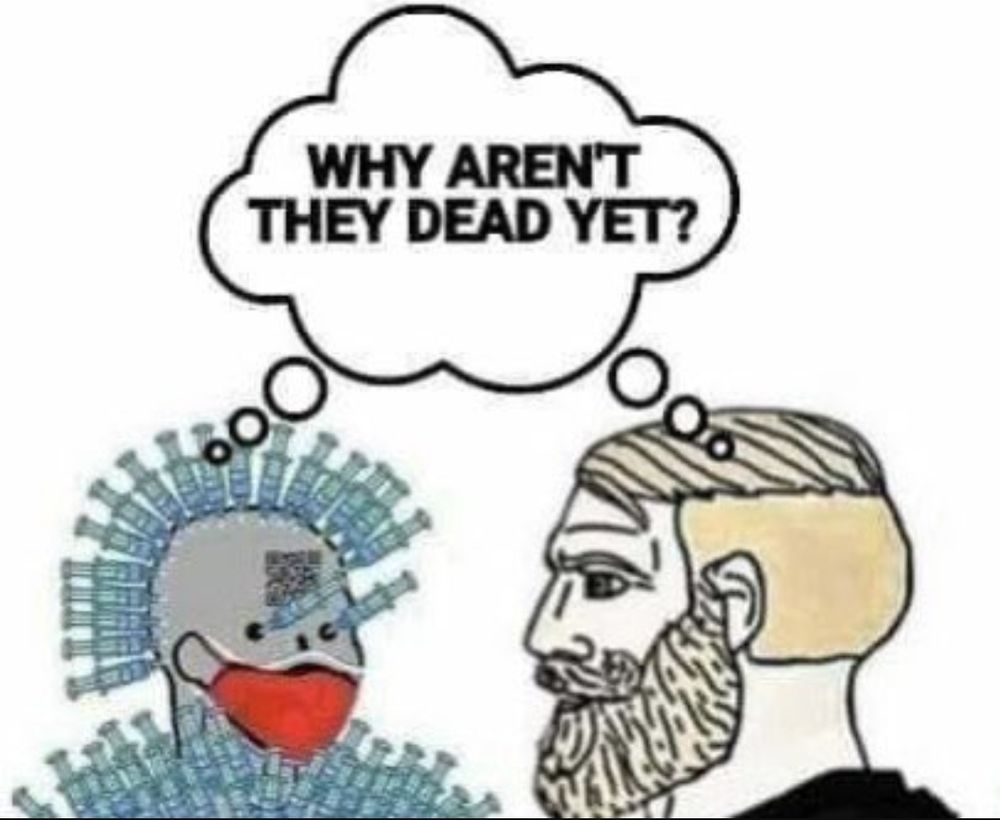 Comment image