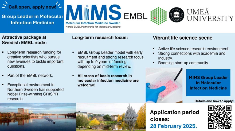 Call open for Group Leader in Molecular Infection Medicine at MIMS, Umeå University