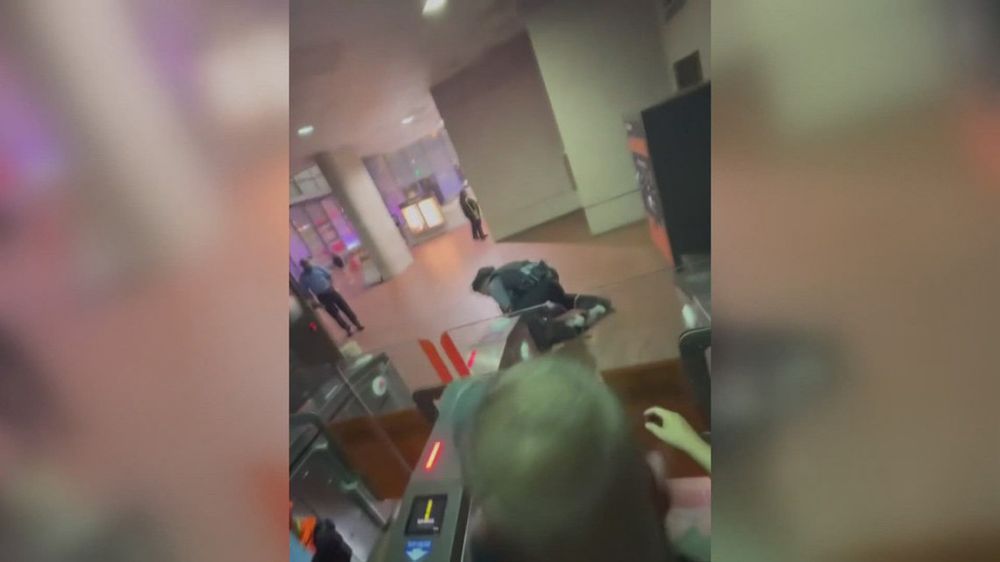 A video circulating online shows Metro Transit Police pinning a woman to the ground at the Navy Yard station. Officers said she was misusing a youth Metro card.