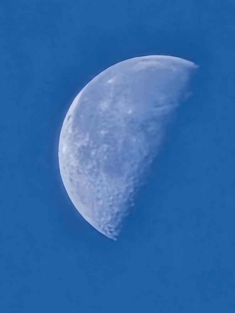 Close up of the daytime moon. 