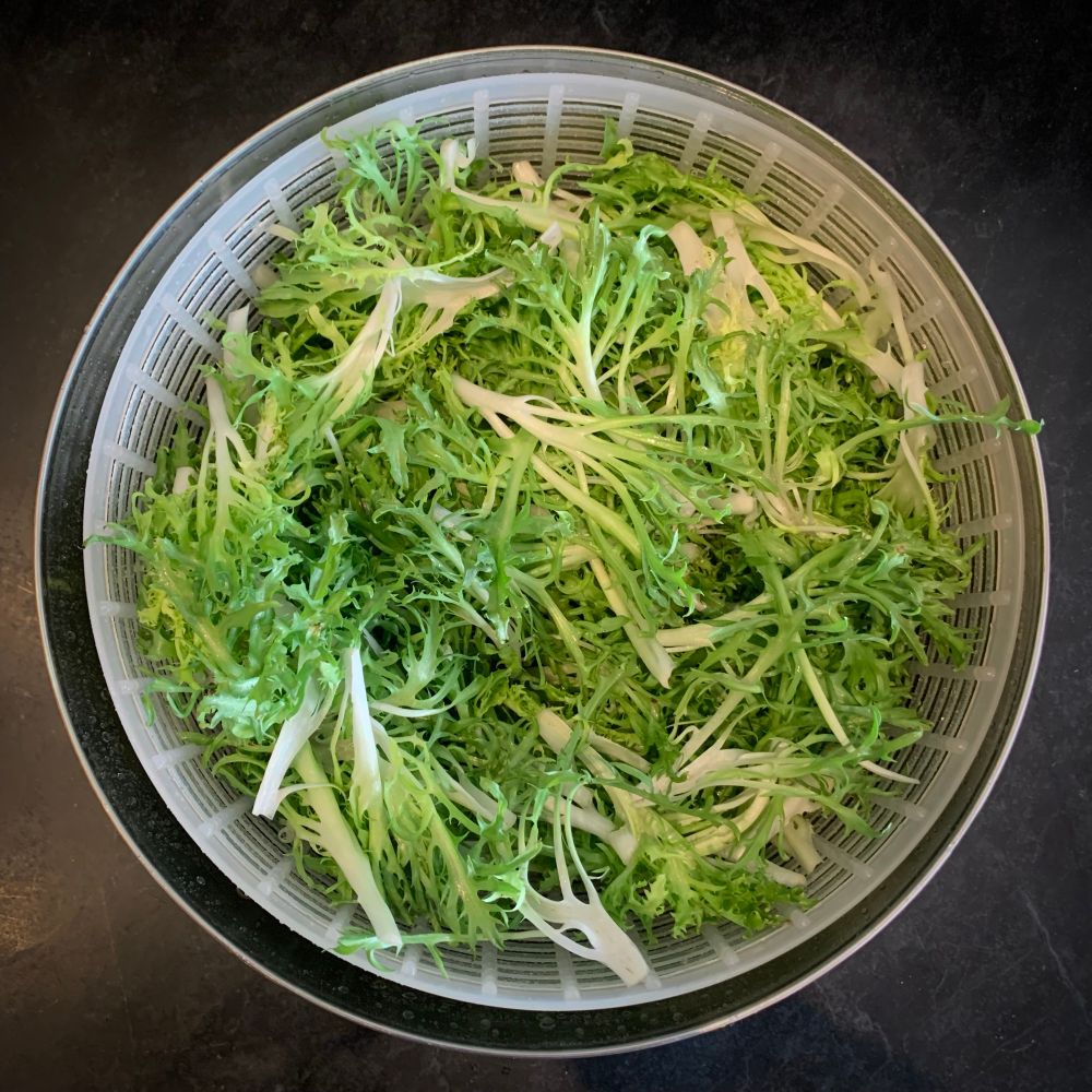 Bowl full of frisée lettuce