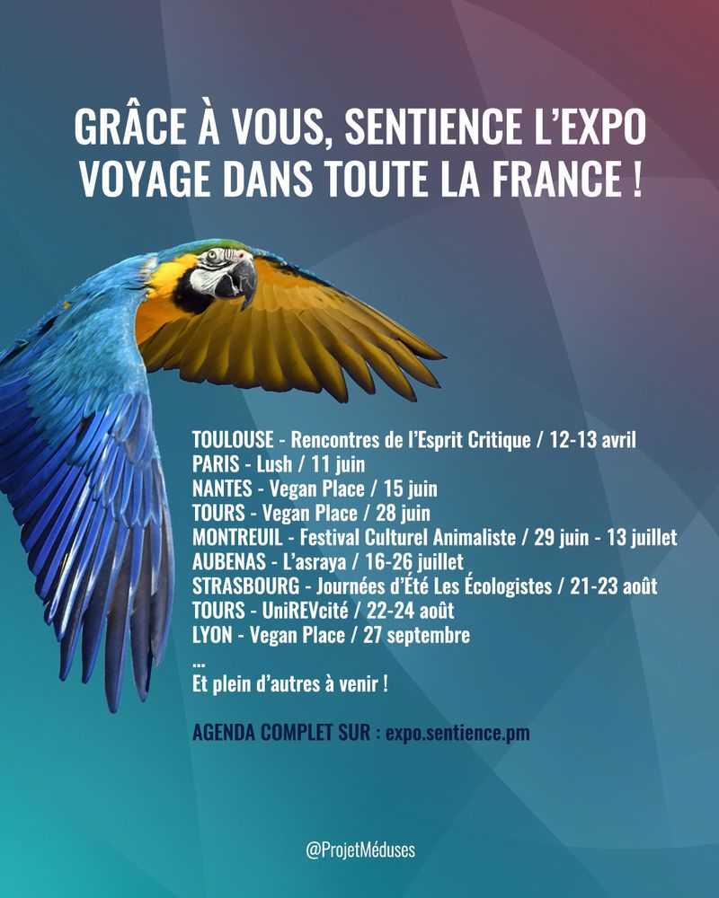 Visuel montrant un perroquet en vol et disant : "GRÂCE À VOUS, SENTIENCE L’EXPO VOYAGE DANS TOUTE LA FRANCE !
TOULOUSE - Rencontres de l’Esprit Critique / 12-13 avril
PARIS - Lush / 11 juin
NANTES - Vegan Place / 15 juin
TOURS - Vegan Place / 28 juin
MONTREUIL - Festival Culturel Animaliste / 29 juin - 13 juillet
AUBENAS - L’Asraya / 16-26 juillet
STRASBOURG - Journées d’Été Les Écologistes / 21-23 août
TOURS - UniREVcité / 22-24 août
LYON - Vegan Place / 27 septembre...
Et plein d’autres à venir !

AGENDA COMPLET SUR : expo.sentience.pm"