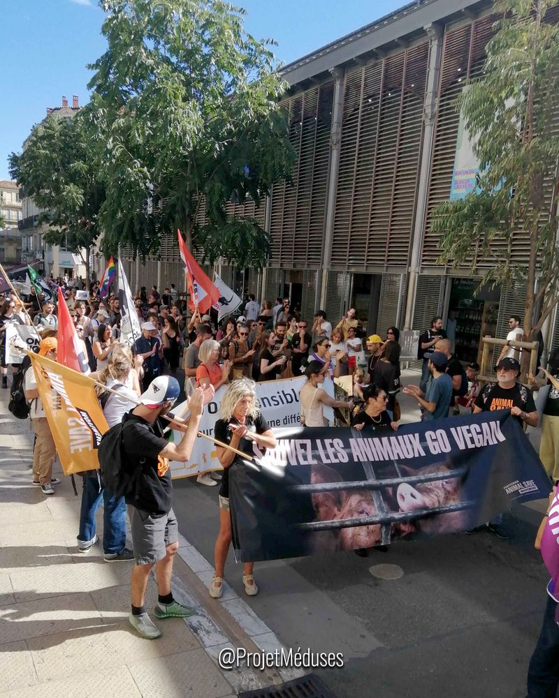 Photo du cortège de la Marche pour la fin du Spécisme de Montpellier. 