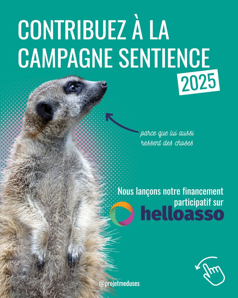 "CONTRIBUEZ À LA CAMPAGNE SENTIENCE 2025 : Nous lançons notre financement participatif sur HelloAsso"