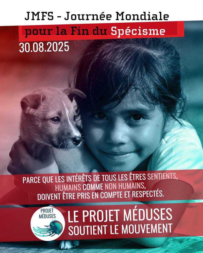 Visuel montrant la photo d'un chiot et d'une enfant qui sourit en le tenant dans ses bras, avec les mentions suivantes : "JMFS - Journée mondiale pour la fin du spécisme, 30.08.2025 - Parce que les intérêts de tous les êtres sentients, humains comme non humains, doivent être pris en compte et respectés. le Projet Méduses soutient le mouvement"