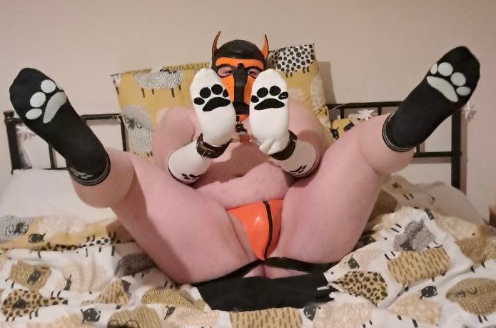 Kinky Pup with paws socks held up on arms and legs