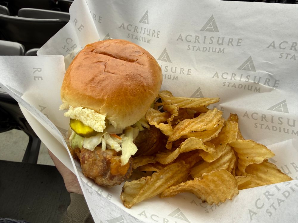 Chicken sandwich with chips