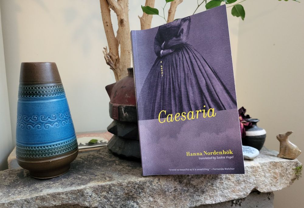 Caesaria: a novel by Hanna Nordenhök, translated by Saskia Vogel. 