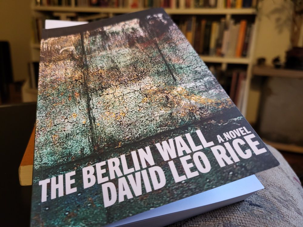 The Berlin Wall - A Novel - David Leo Rice.