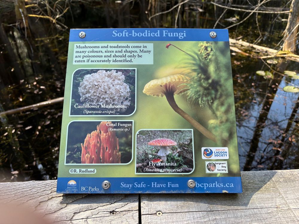 Info board about soft-bodied fungi