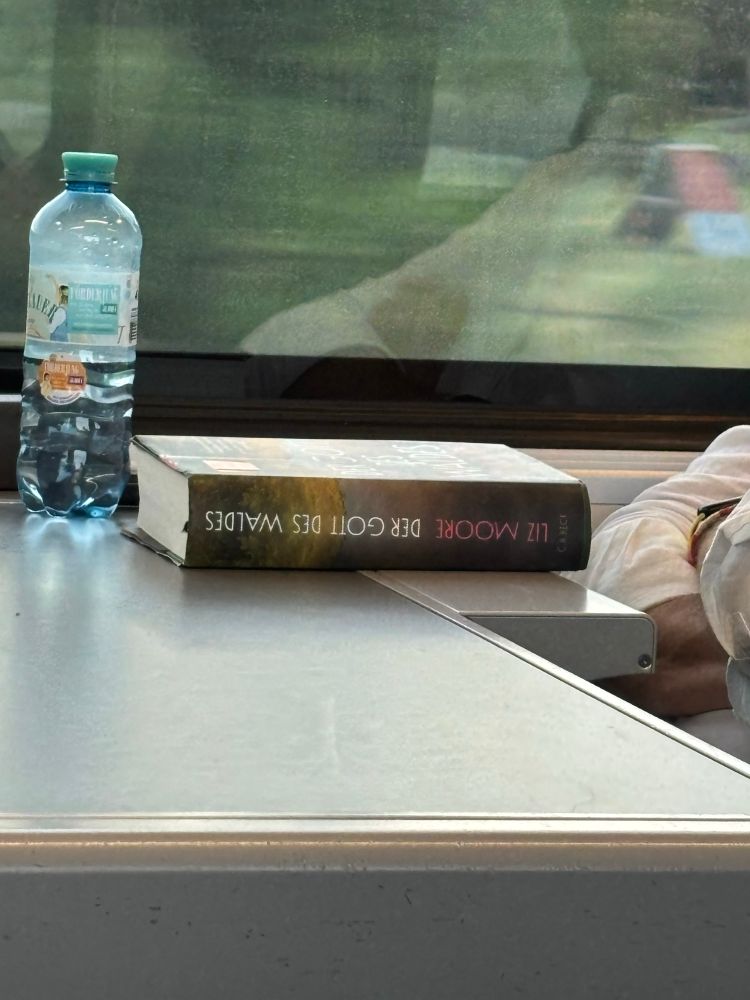 German copy of The God of the Woods by Liz Moore being read by a passenger on a train in Austria.