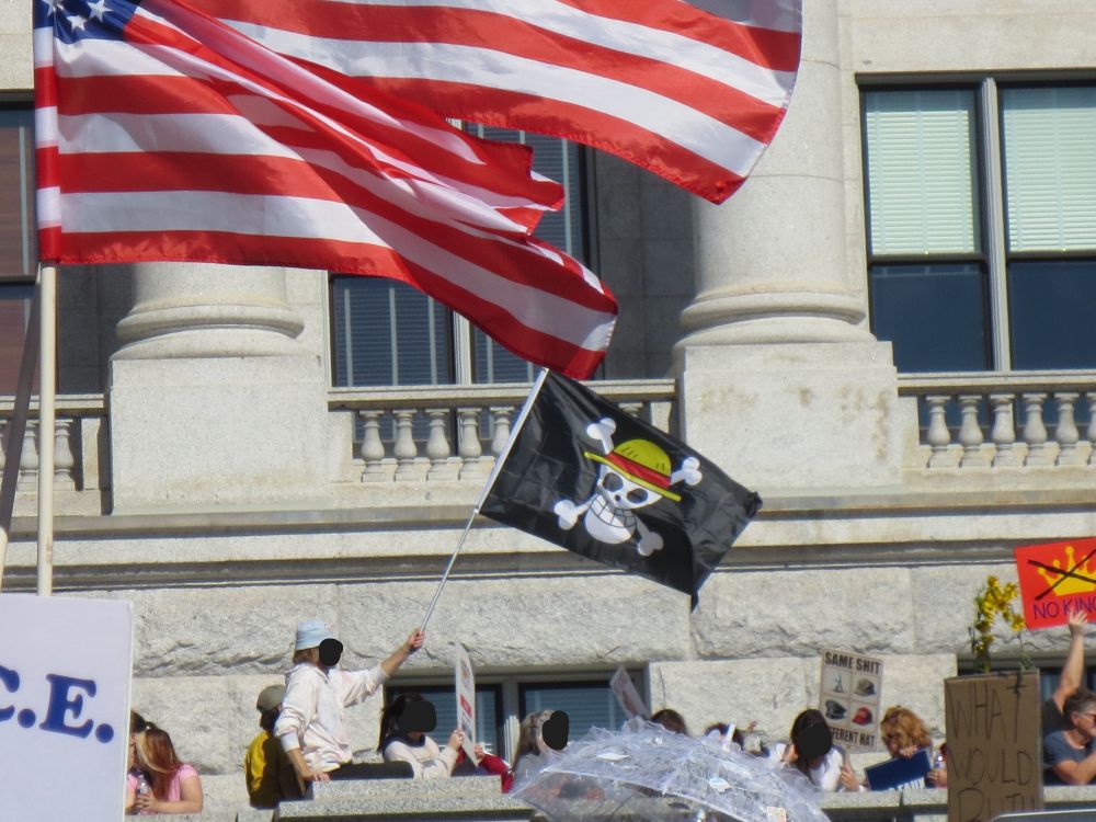 A One Piece pirate flag.
