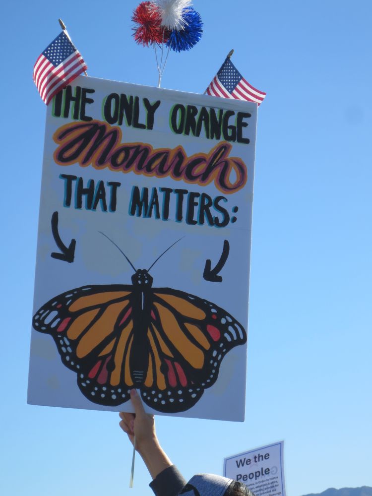 Picture of a butterfly. "The only orange monarch that matters"