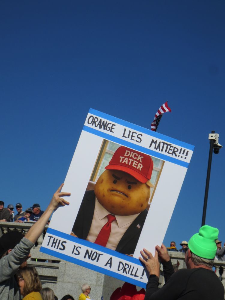 Picture of a Trumpian potato in a tie and a red hat labeled "Dick tater." "Orange lies matter!!! This is not a drill!"