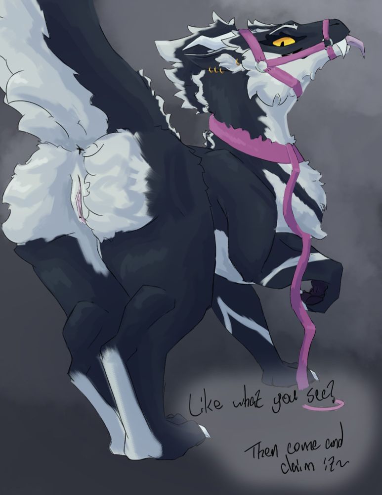 Amber showcasing with her tail held high revealing her self for you awaiting to be claimed, but this time leashed, collared and muzzled.