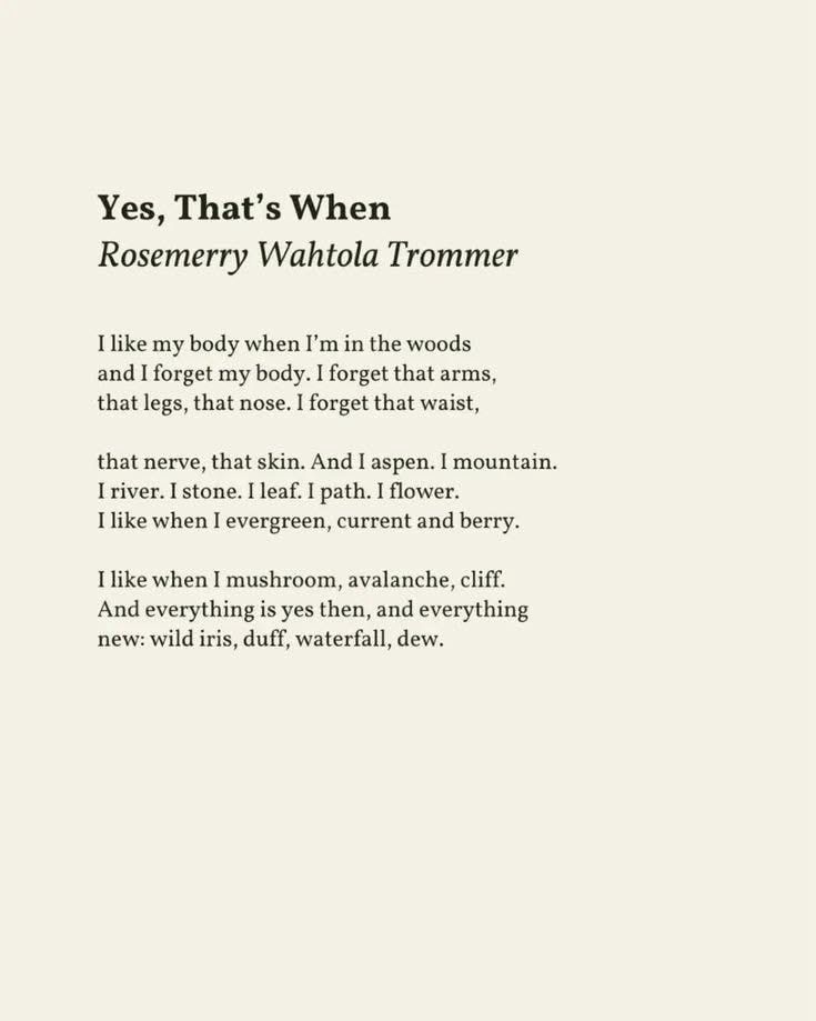 "Yes, That's When" a poem by Rosemerry Wahtola Trommer

I like my body when I'm in the woods 
and I forget my body. I forget that arms, that legs, that nose. I forget that waist,

that nerve, that skin. And I aspen. I mountain.
I river. I stone. I leaf. I path. I flower.
I like when I evergreen, current and berry.

I like when I mushroom, avalanche, cliff.
And everything is yes then, and everything 
new: wild iris, duff, waterfall, dew.