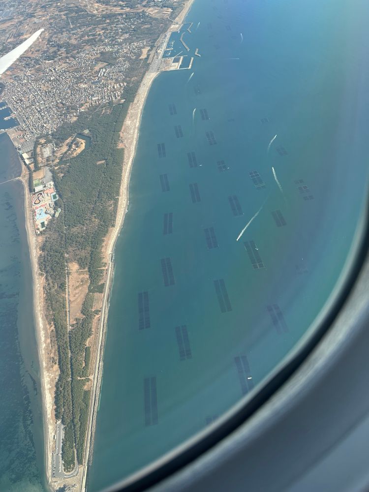 Looking out an airplane window at algae farms on the approach to Haneda airport.