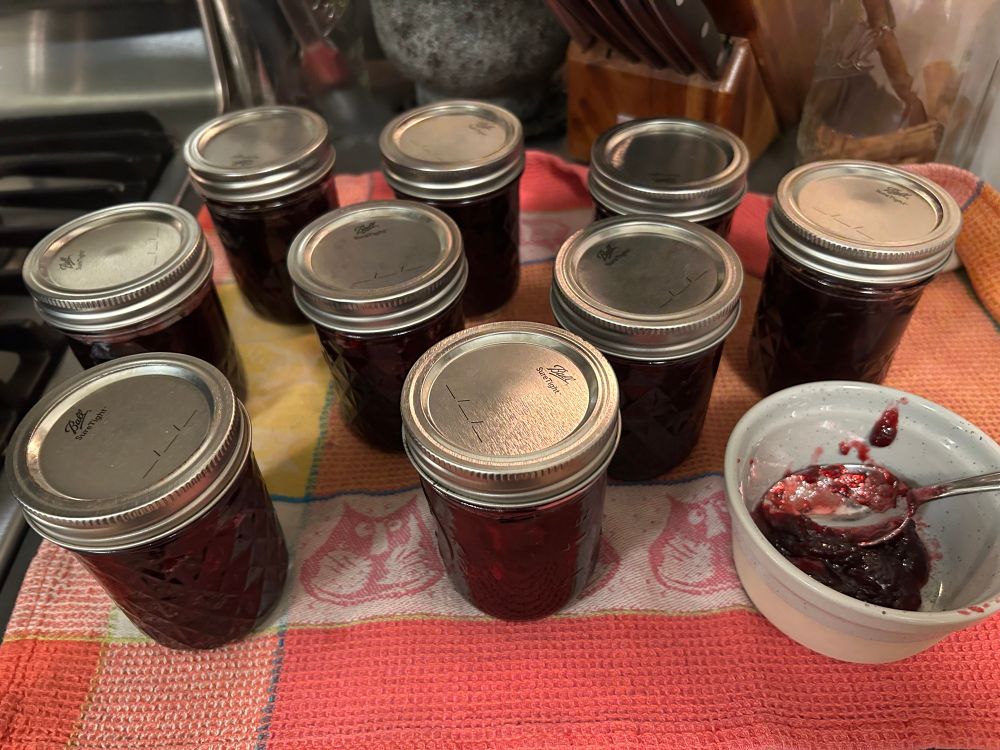 9 jars of jam and a ramekin with the dregs of the jam on a towel on the kitchen counter.