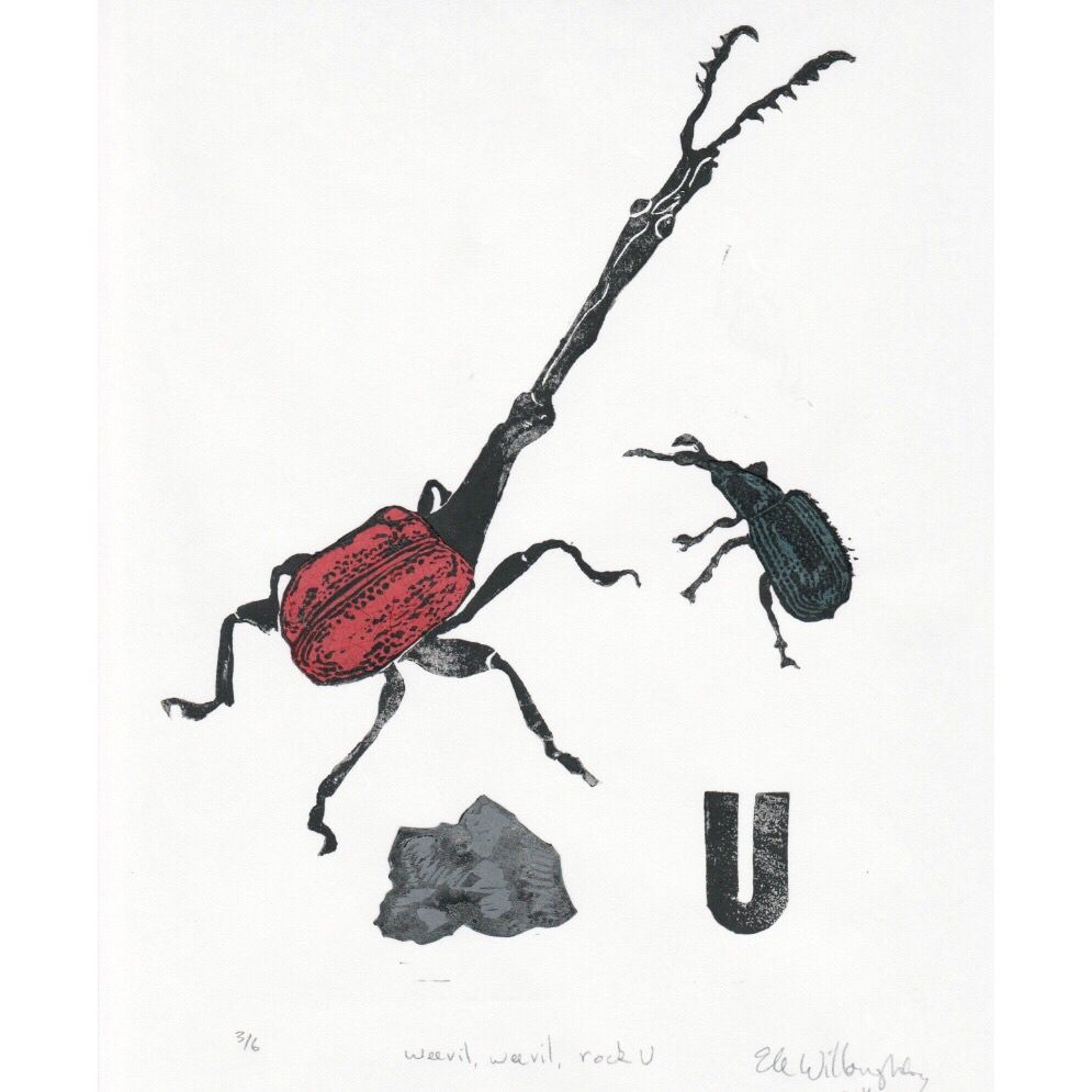 As described, this linocut on Japanese paper illustrates a terrible pun: 'Weevil weevil rock U' rather than "We will, we will rock you," of course. It shows two weevils, a grey rock and a letterpress U. The larger of these two weevils is the extravagant, long-necked red and black giraffe weevil (or giraffe-necked weevil or Trachelophorus giraffa) from Madagascar which can grow to as long as an inch or 2.5 cm in length. The smaller of these 2 is Neocoenorrhinus germanicus, a blue-black weevil, merely 3.9 mm (0.15 inches) found in Southwest Asia, southern Siberia, Russia, and parts of Europe. They are shown roughly 4 times life-sized.