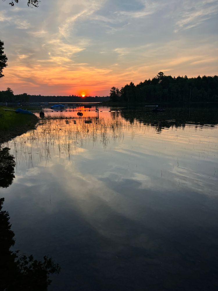 Sunrise, calm lake with forest reflecting, a dock, moored boat and swimming geese