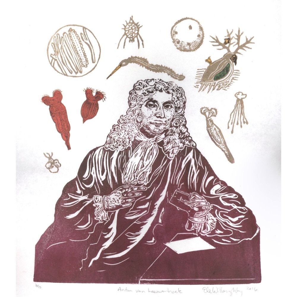 My linocut portrait of van Leeuwenhoek in burgundy wearing a wig, narrow moustache, loose robe and neck scarf, holding his invention, a microscope. He’s surrounded by his microscopic observations, “animacules”, blood vessels and more, in gold, orange, green and yellow.