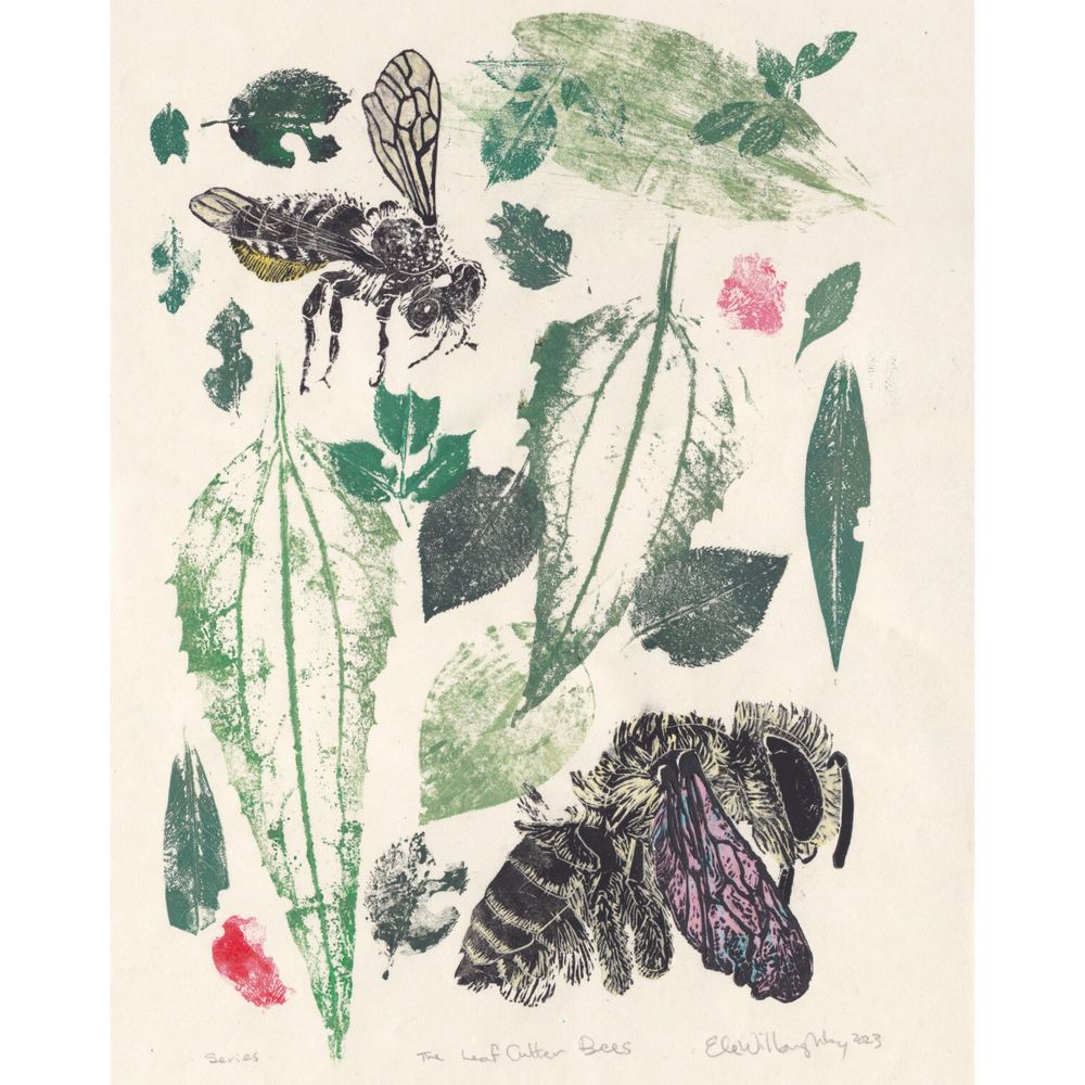 As described: This work features 2 large linocuts of two leaf cutter bees: Megachile relativa and Megachile brevis. These linocuts are made on collaged Japanese washi papers and cellophane to capture the colours in their bodies and wings. Each print has its own array of leaf and petal prints from leaves and petals used by leaf cutter bees from my garden. The plants used include raspberries, roses (leaves and petals), lily of the valley, lilac, hollyhock, cone flowers and more. Each print is 17" tall by 12" wide 