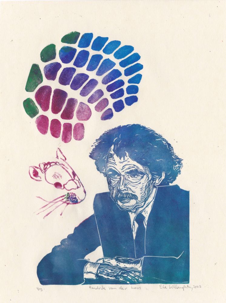 Linocut print on 11” x 14” cream coloured washi paper of Hendrik van der Loos in blue ink with diagrams of a mouse head and barrel cortex. The line drawing style mouse head is in a raspberry red and includes the shape of its brain and dots representing the barrel cortex. Like van der Loos it is at 3/4 and placed so that its eyes are at his eye-line. Its whiskers lead to a array of spots on its snout in a gradient of blue to red with a green strip, to match the barrel cortex diagram above. The barrel cortex above van der Loos’ head looks like five rows of obloid shapes in a gradient of red to blue with a final offset top column in green.