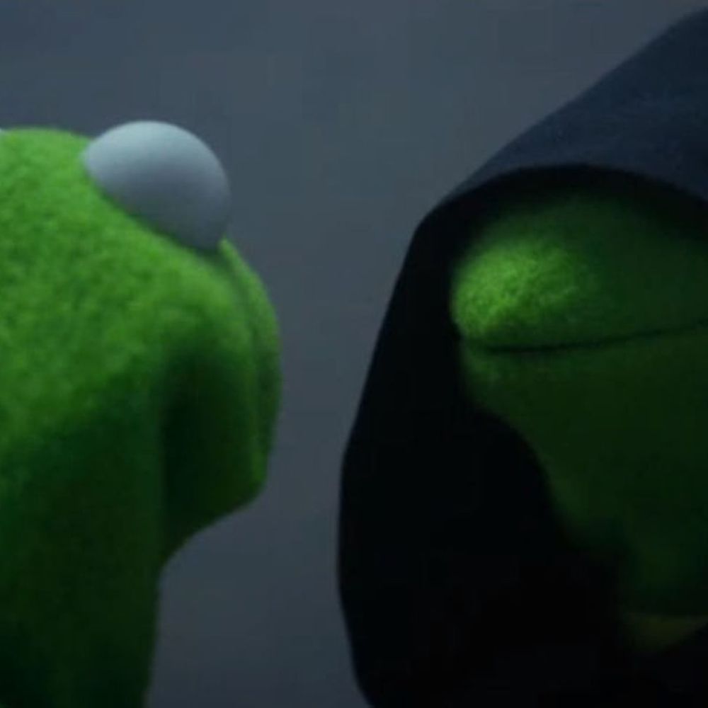 Kermit Also Me Meme: Kermit the Frog from behind facing hooded Kermit the Frog