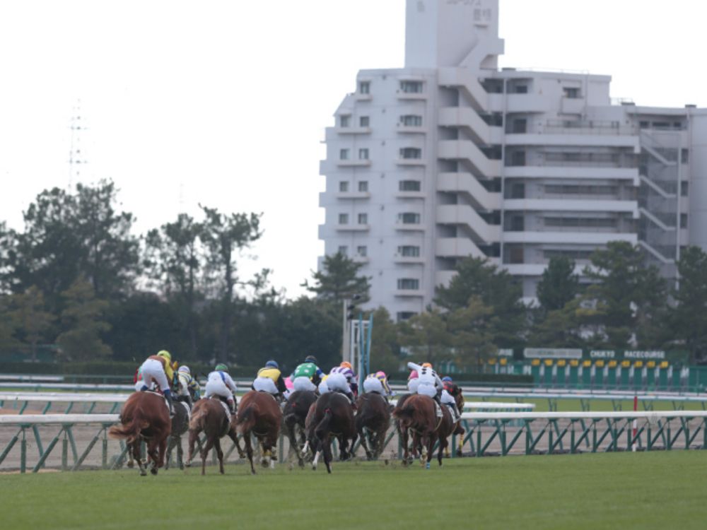 【ローズS出走馬・騎手確定】レガレイラ&C.ルメール騎手、クイーンズウォーク&川田将雅騎手など15頭（netkeiba） - Yahoo!ニュース