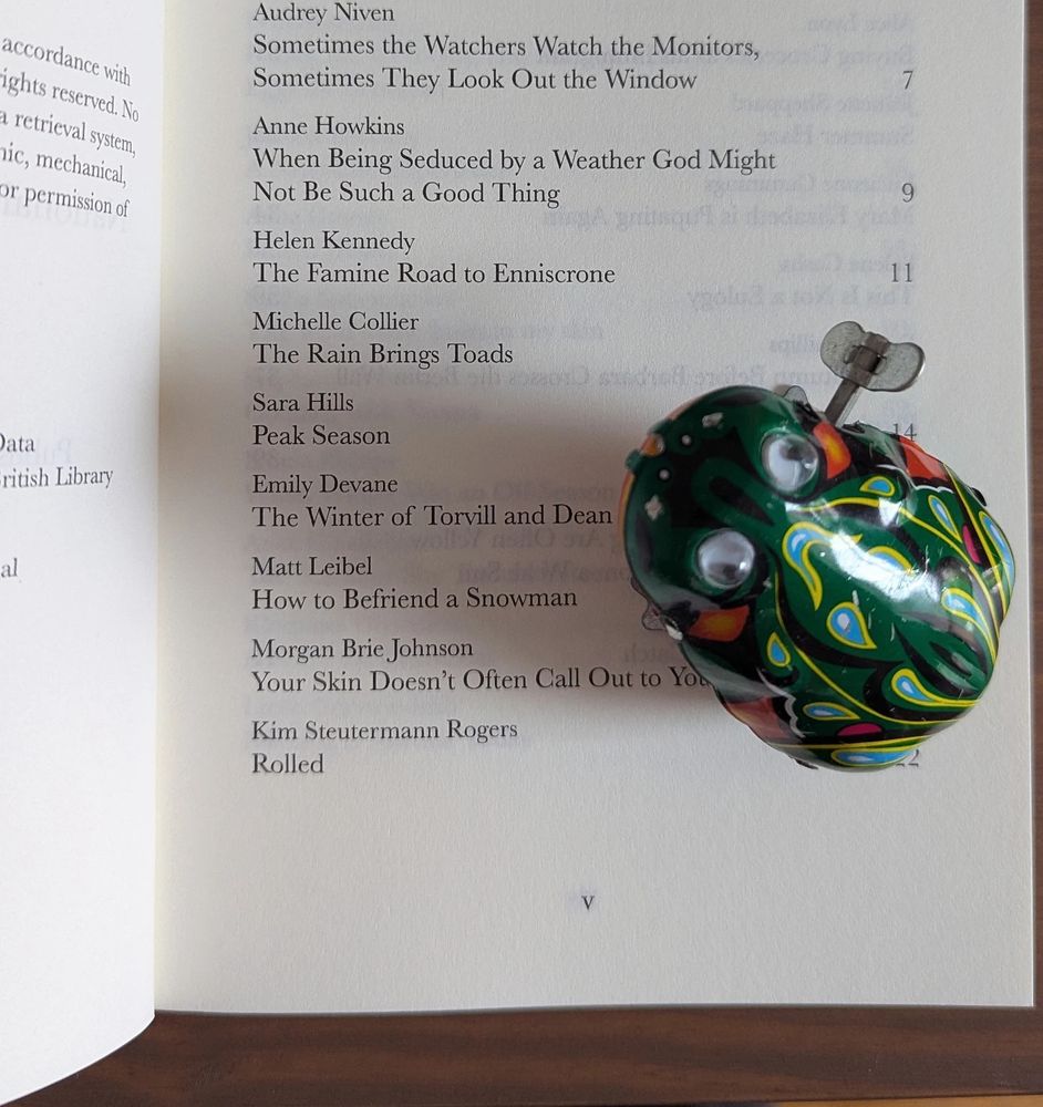 Photo of the book's contents page featuring my name and story title: The Rain Brings Toads.