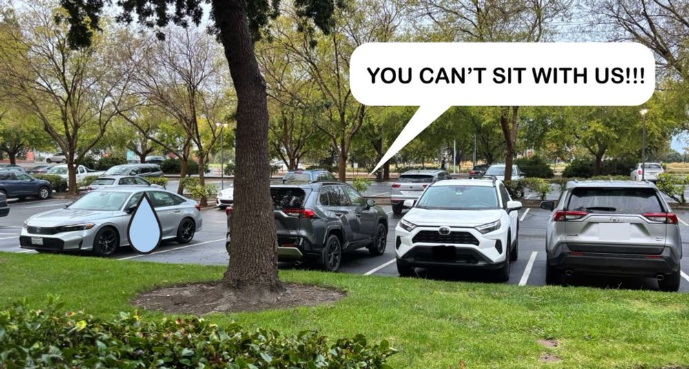 Three RAV4s parked next to each other and a smaller car crying to the left.