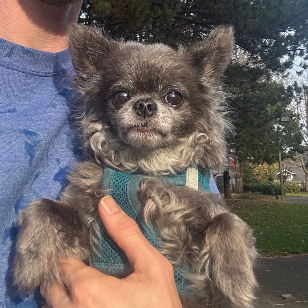 Jem, looking directly at the camera