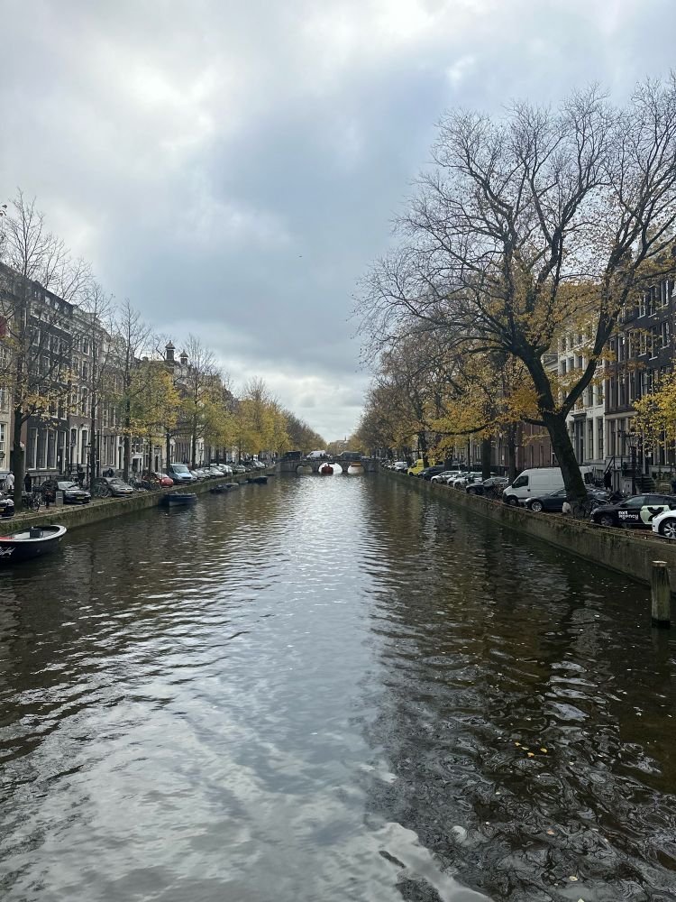 Amsterdam canal in autum 